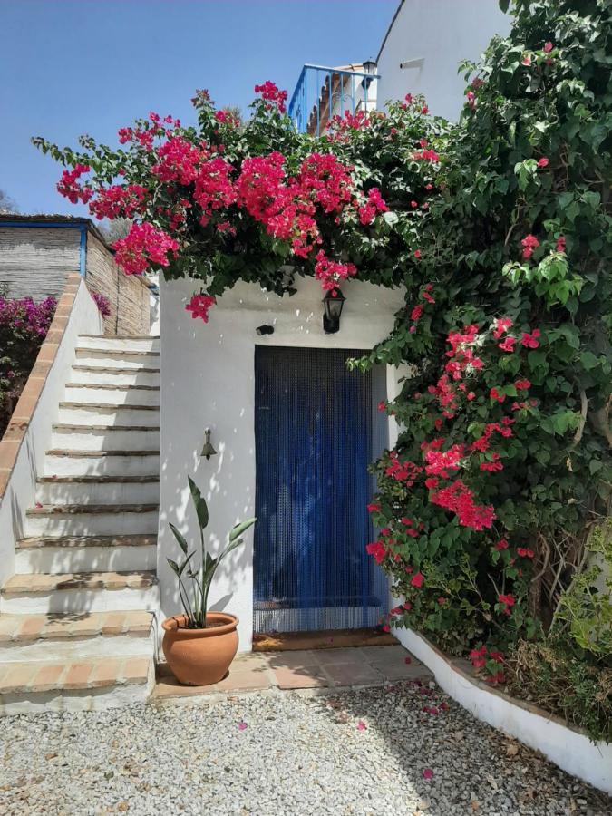 Attico Los Montes With Private Pool Vinuela Exterior photo