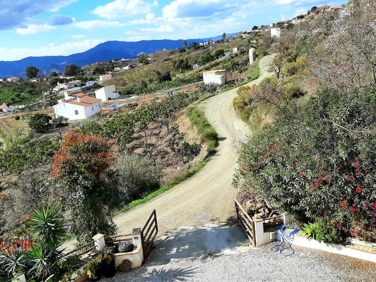 Attico Los Montes With Private Pool Vinuela Exterior photo